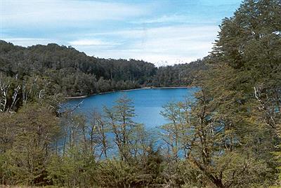 LAGUNA BAYLEY WILLIES